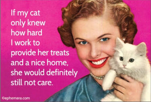 If My Cat Only Knew Magnet