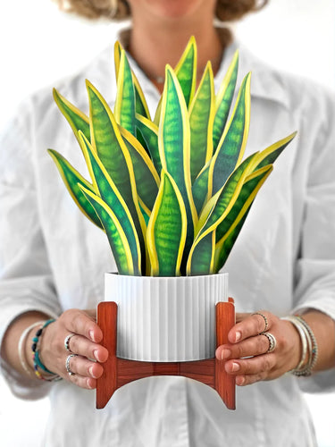 Snake Plant Paper Flower Arrangement