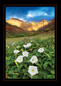 West Temple Zion Greeting Card