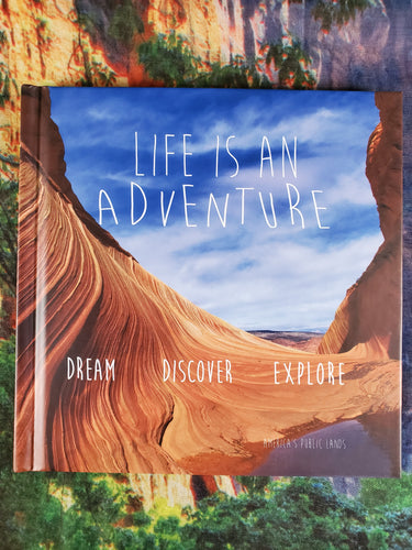 Life Is An Adventure