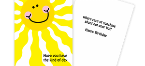 Rays of Sunshine Birthday Card