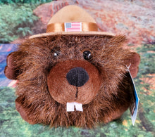 4.5" Ranger USA Stuffed Animal-Beaver